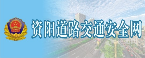 Lugouzi.top资阳道路交通安全网