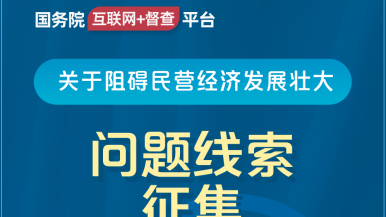 国产老女人BB国务院“互联网+督查”平台公开征集阻碍民营经济发展壮大问题线索